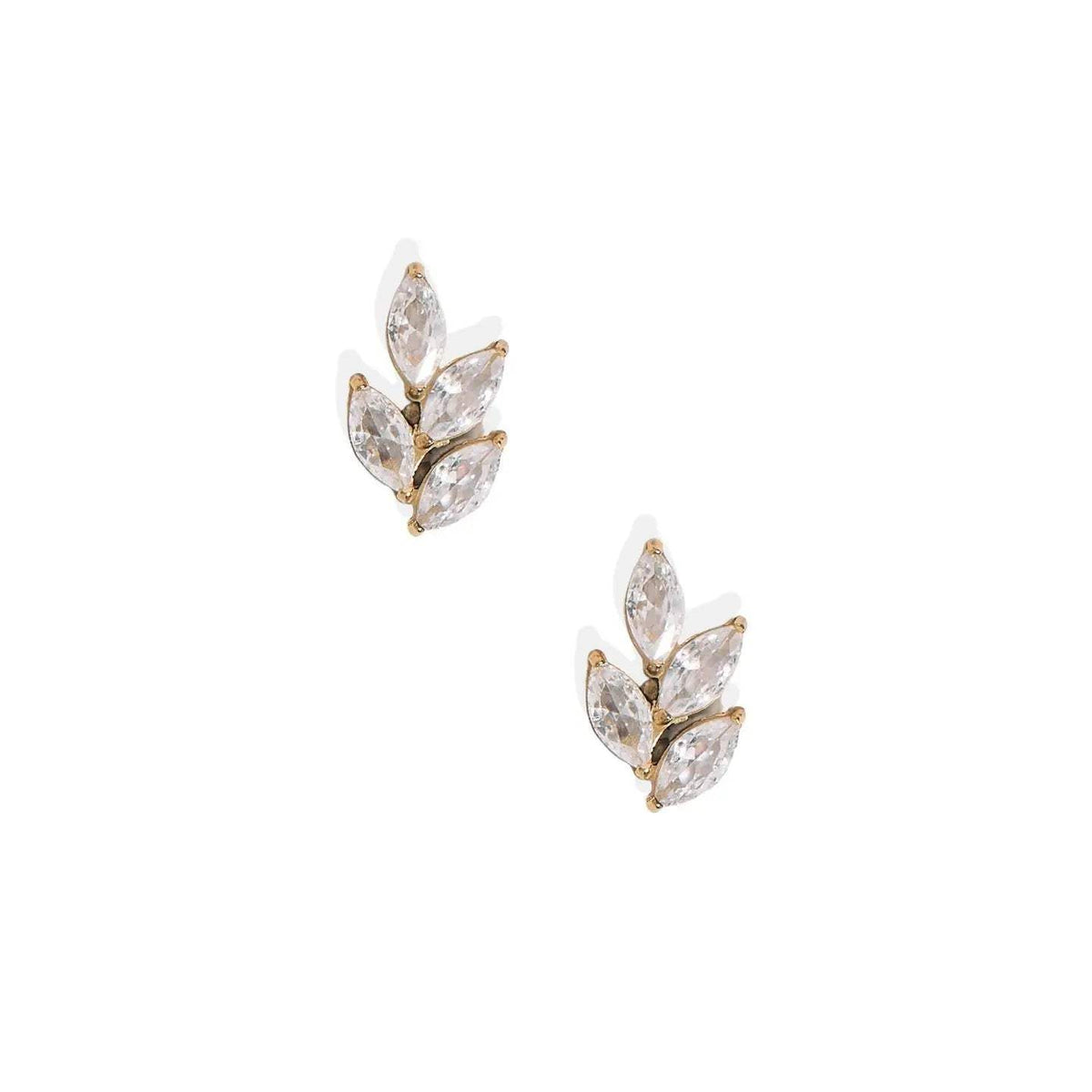Laurel Gold Screwback Stud Earrings