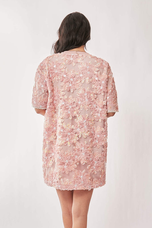 PLUS SIZE | Embroidered Sequin Mesh Mini Dress