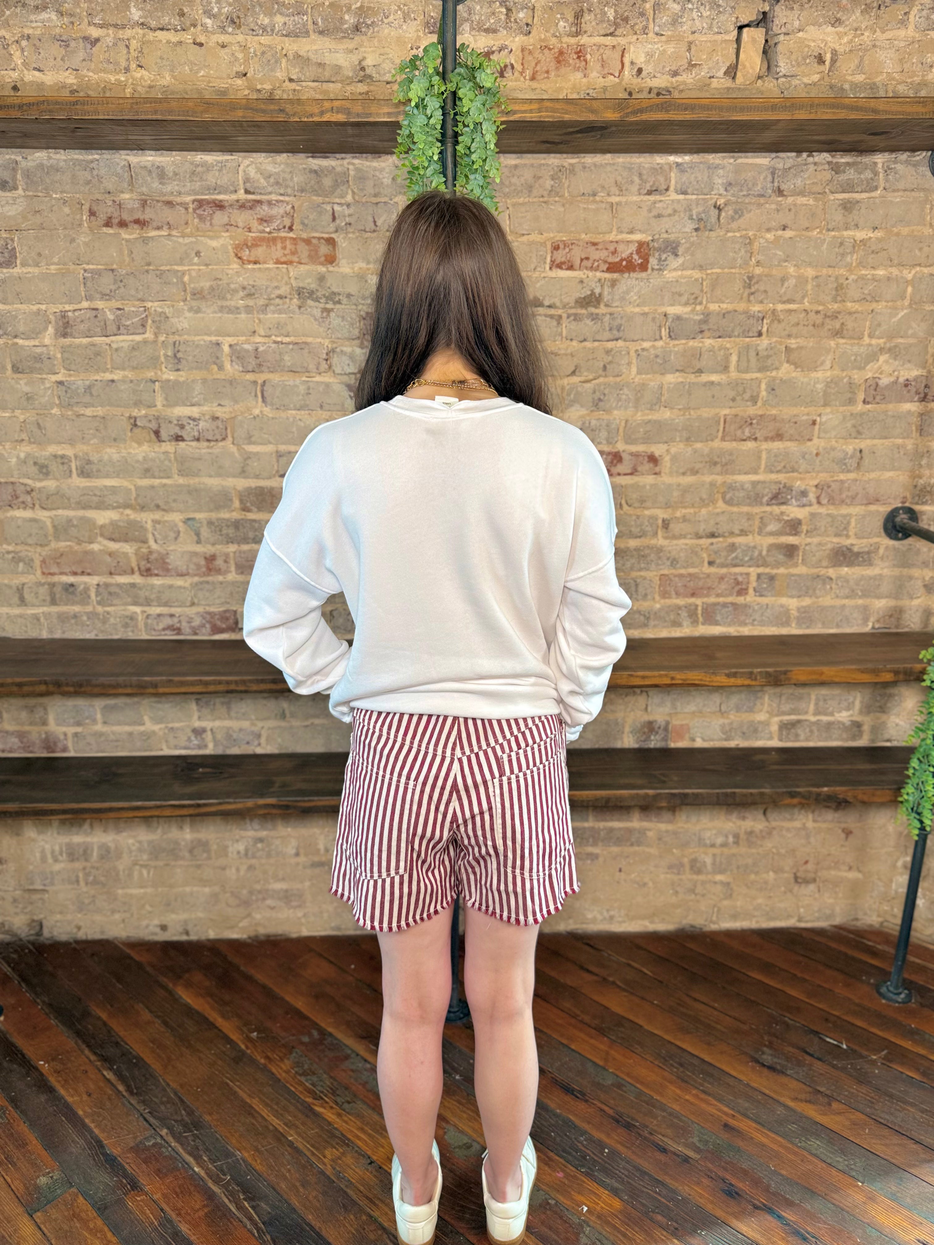 Harborview Rope Belt Striped Shorts