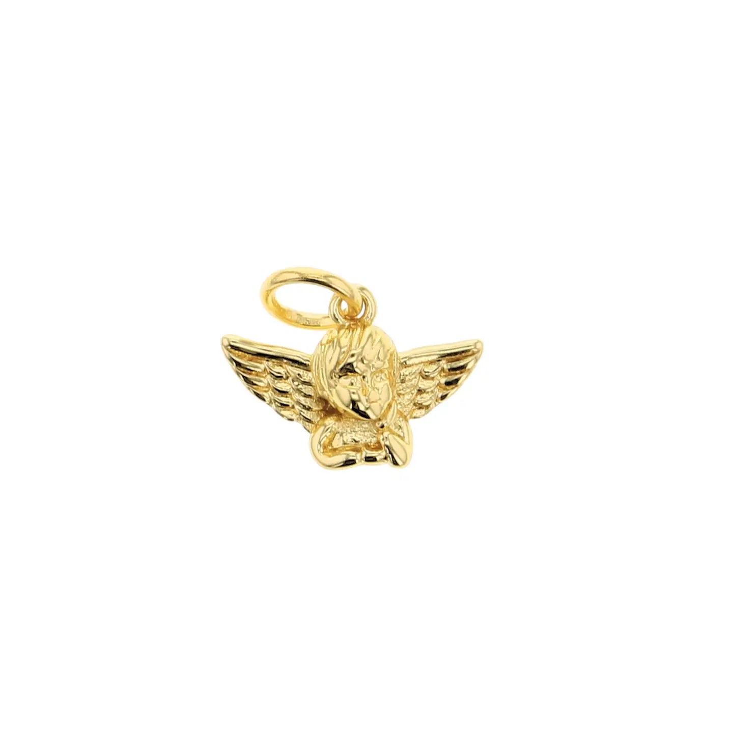 Guarded & Blessed Charms