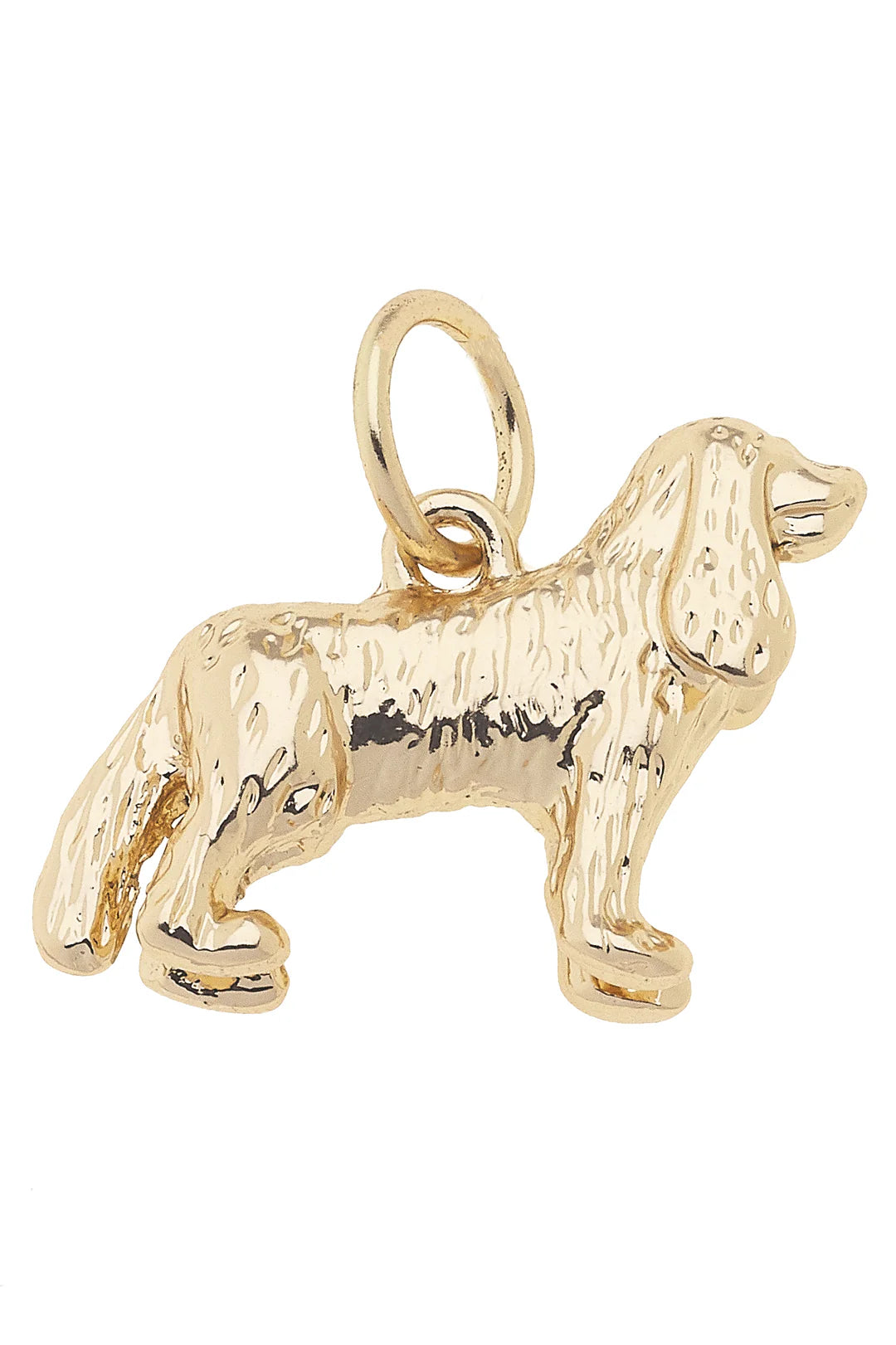 Wildly Charming Charms
