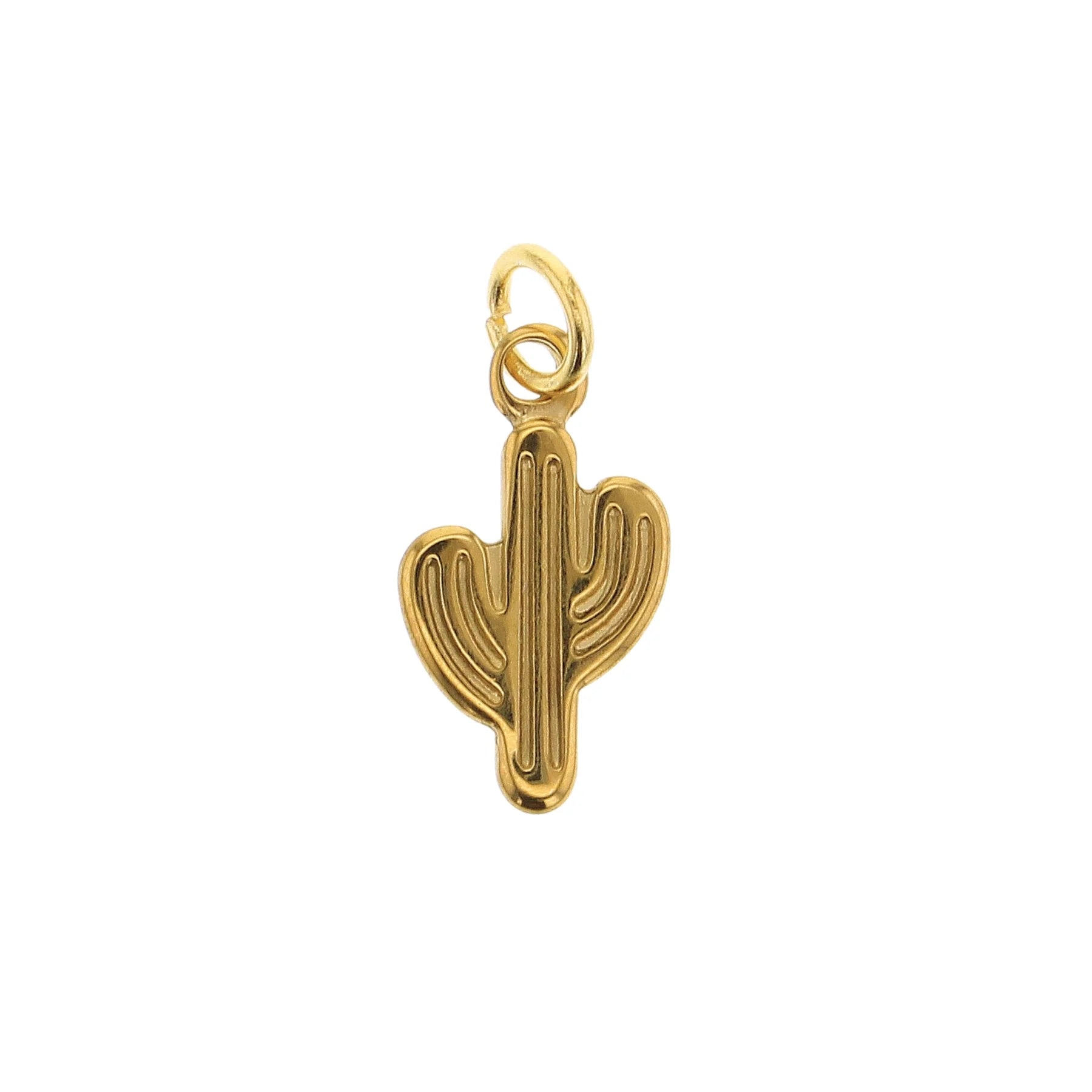 Western Whimsy Charms