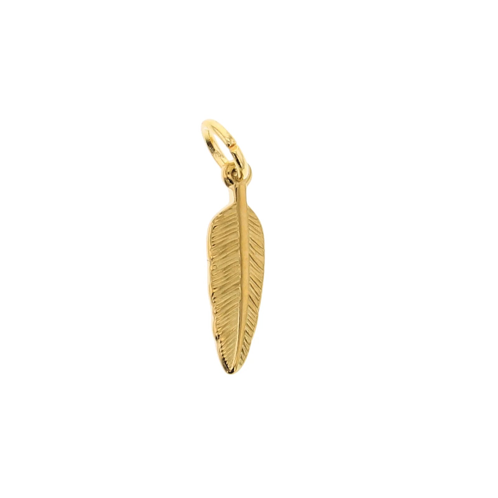 Wildly Charming Charms