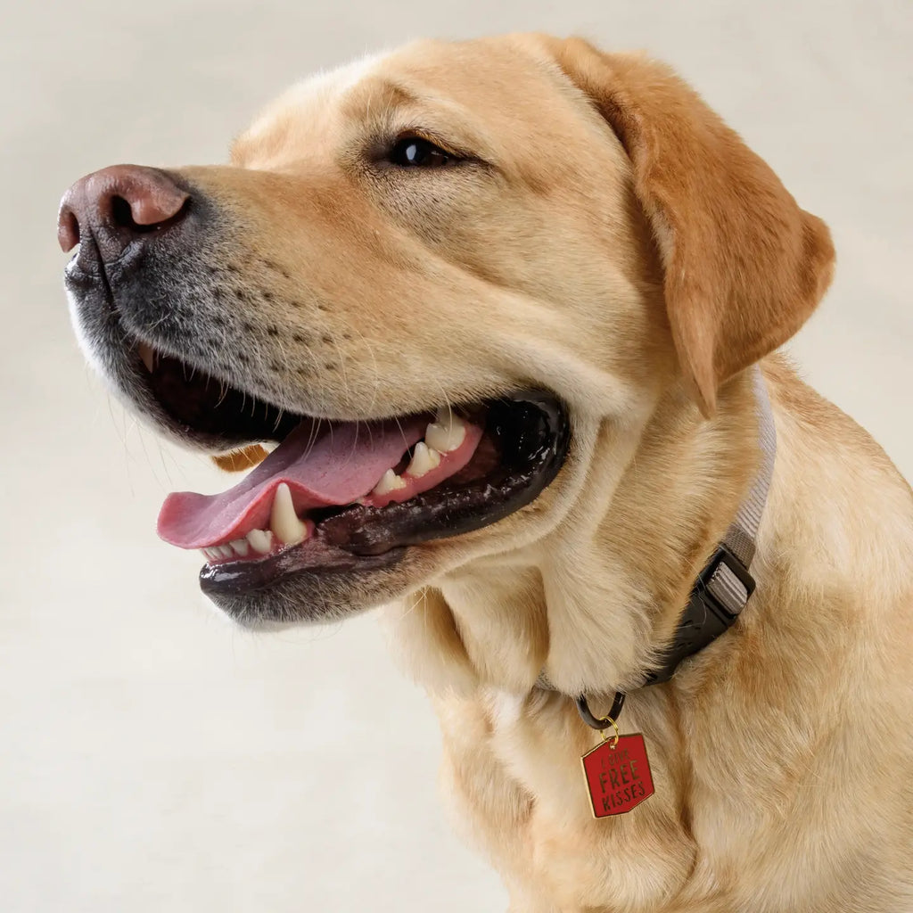 Dog Collar Enamel Pendant Charm