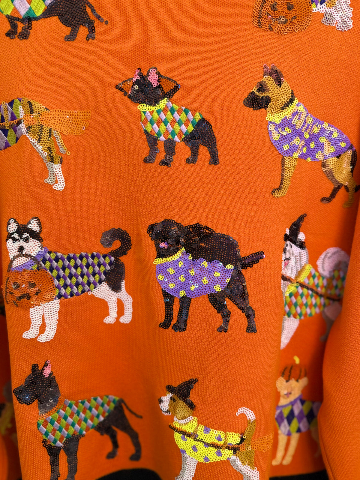 Orange Halloween Dogs Button Up Cardigan | Queen of Sparkles