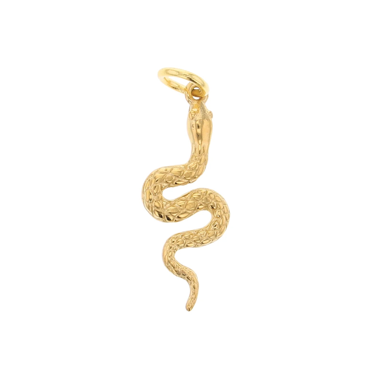 Wildly Charming Charms