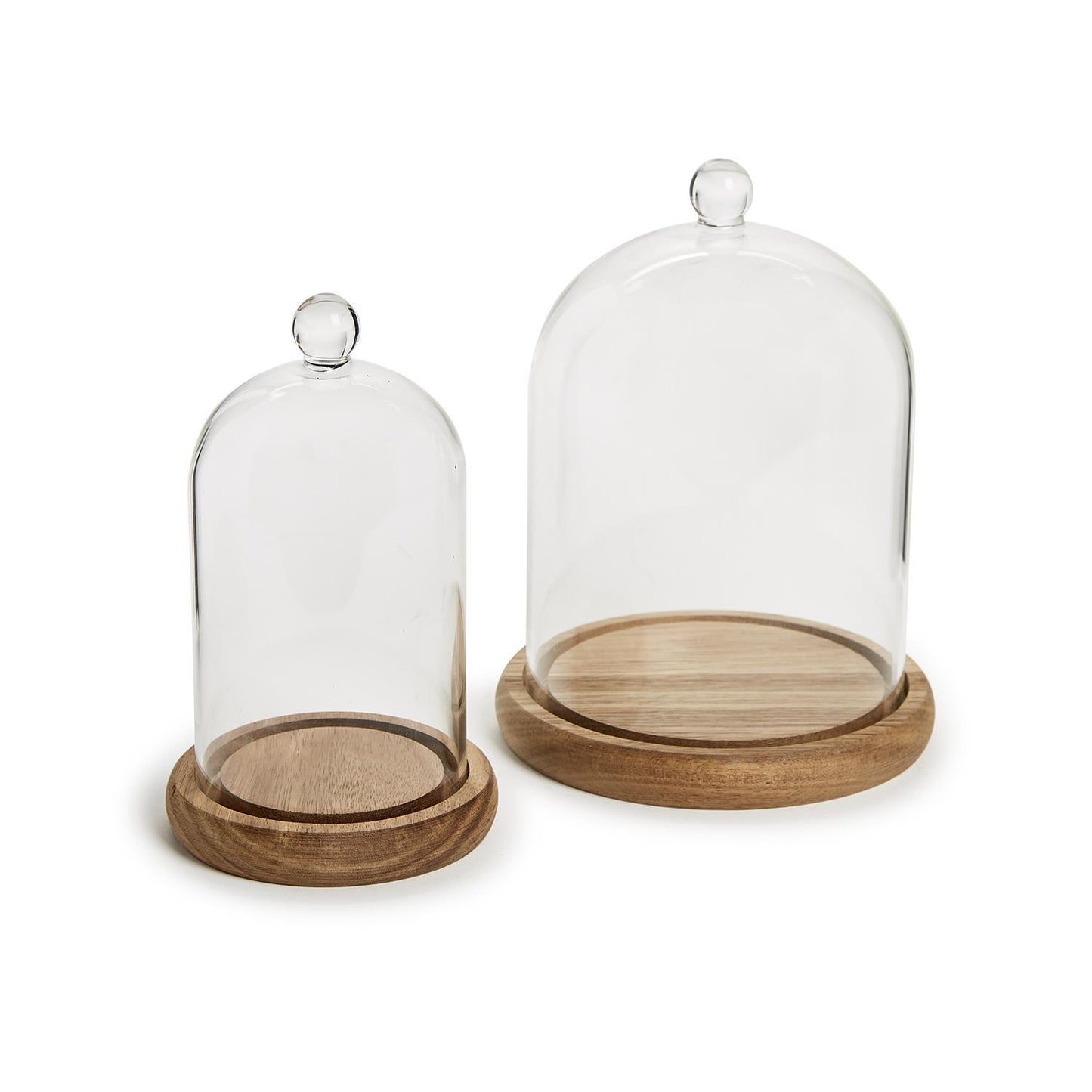 Cloche with Ball Handle & Wood Base