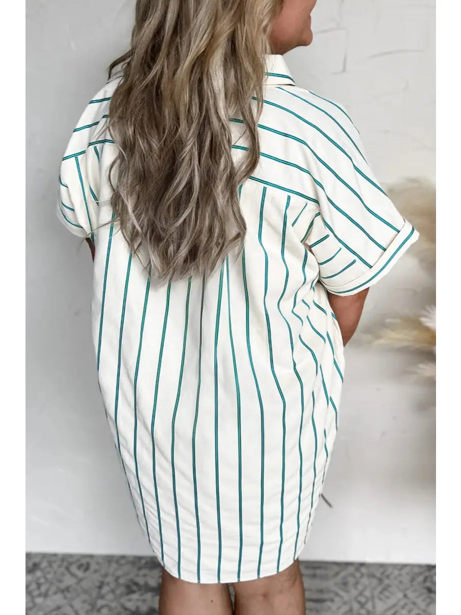 PLUS SIZE | Adeline Striped Mini Dress