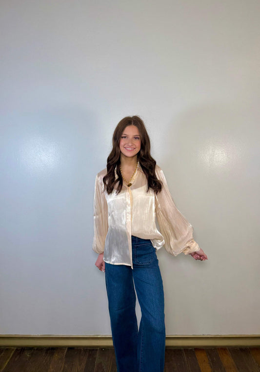 Metallic Sheer Gold Detailed Blouse
