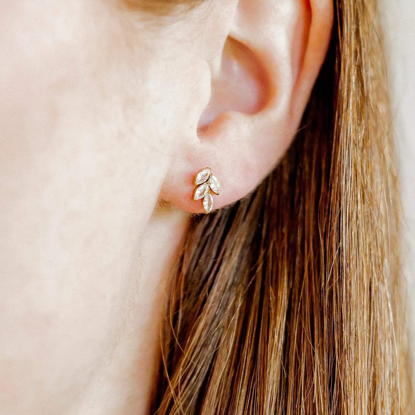 Laurel Gold Screwback Stud Earrings