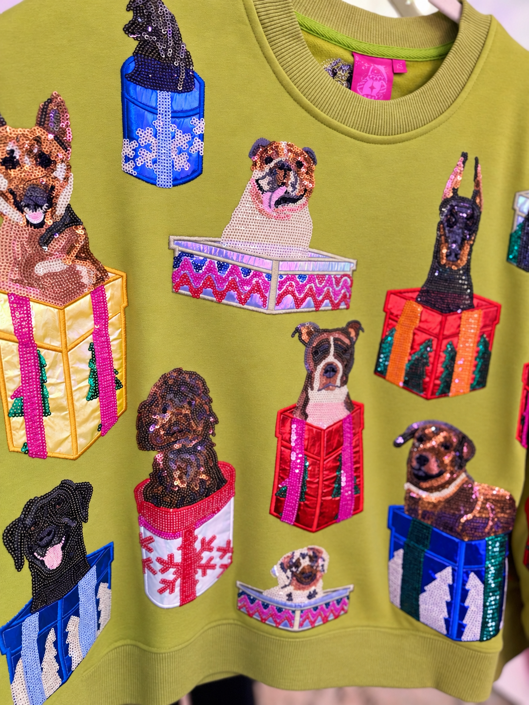 Green Dogs in Present Boxes Sweatshirt  | Queen of Sparkles