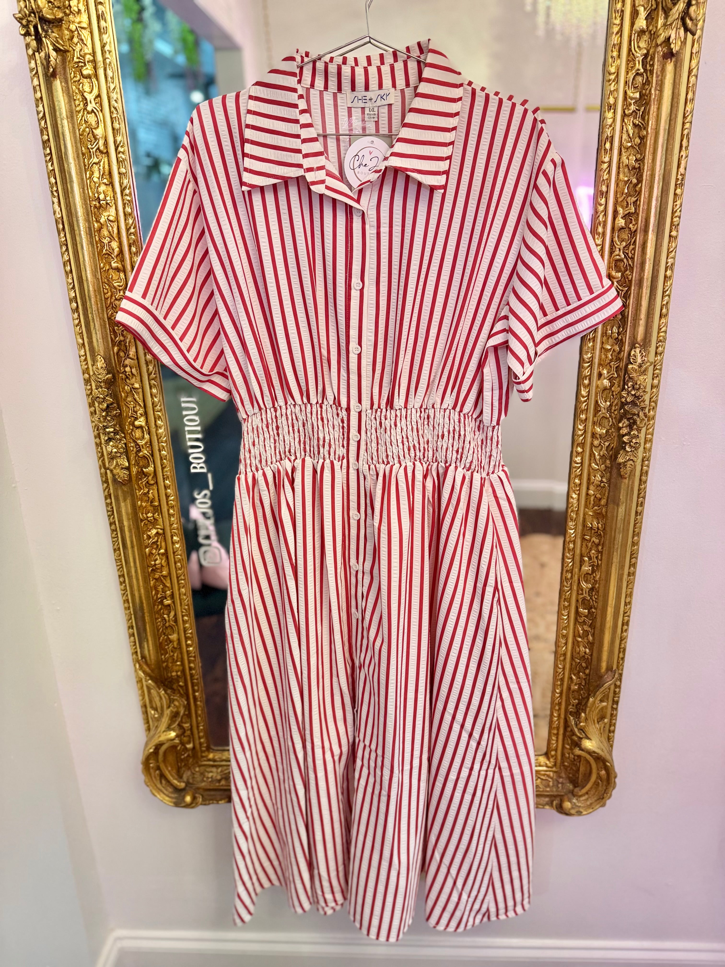 PLUS SIZE | Aniya Striped Brunch Dress