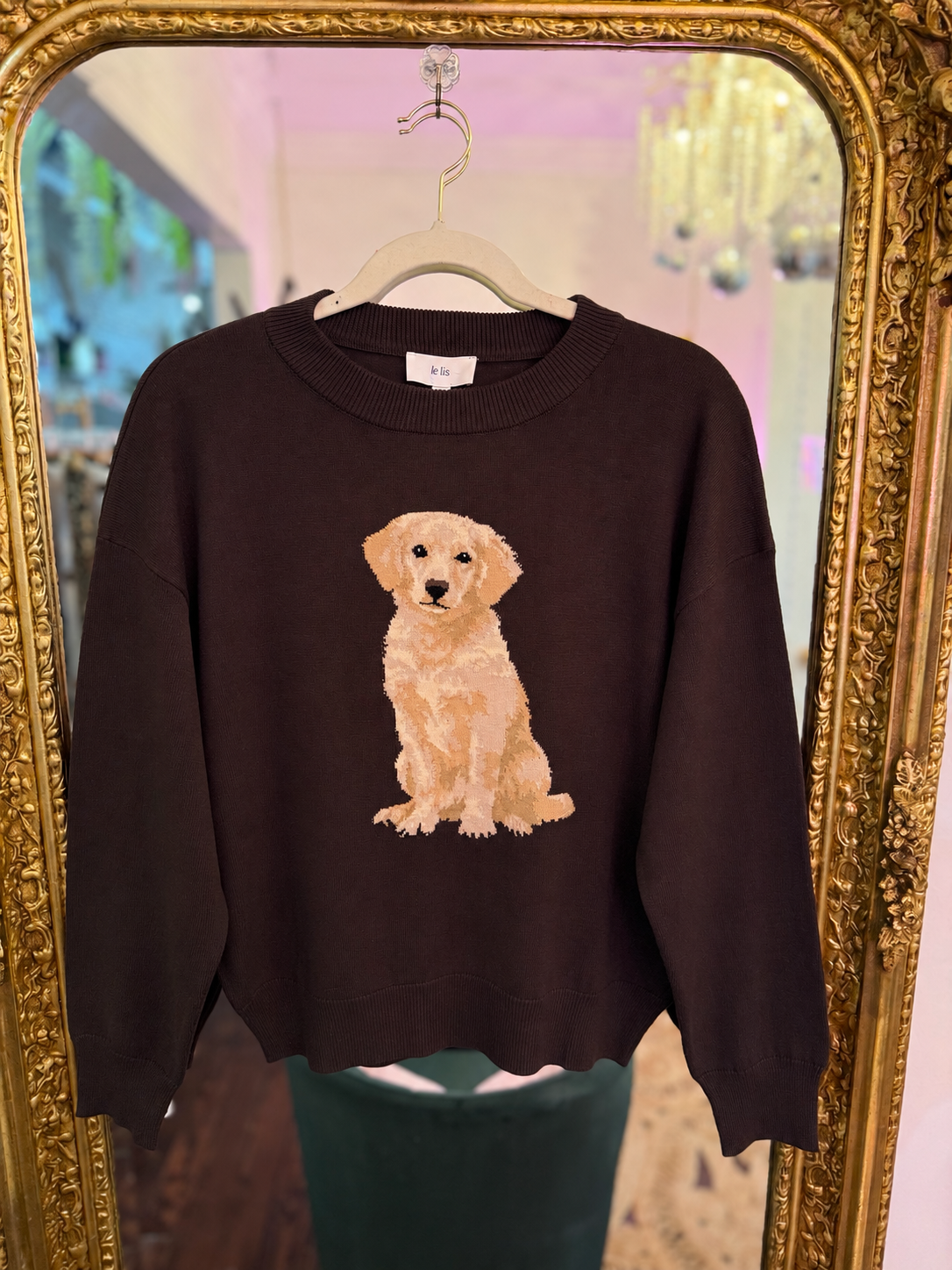 Golden Retriever Graphic Oversized Sweater