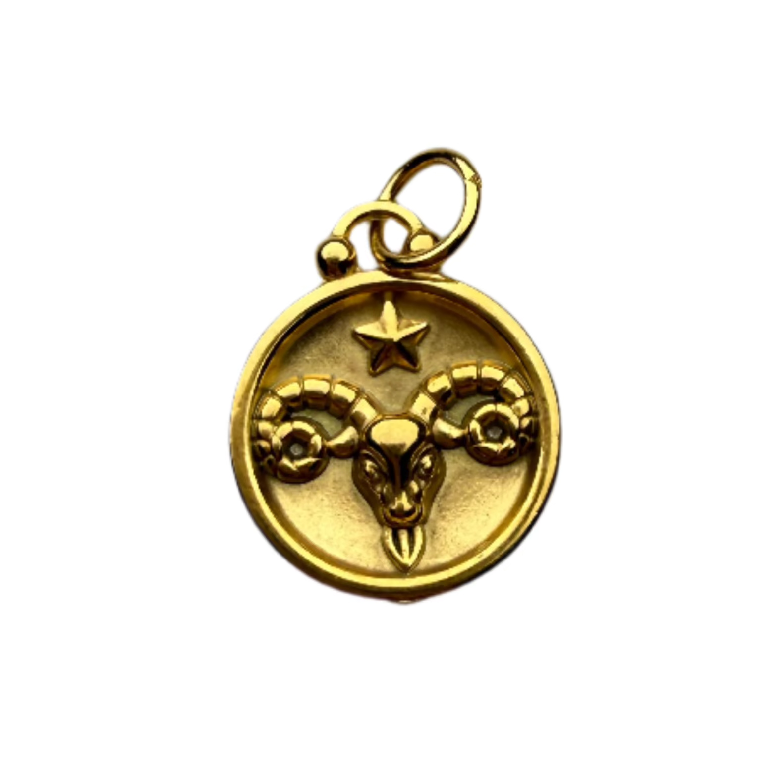 Zodiac Sign Charm