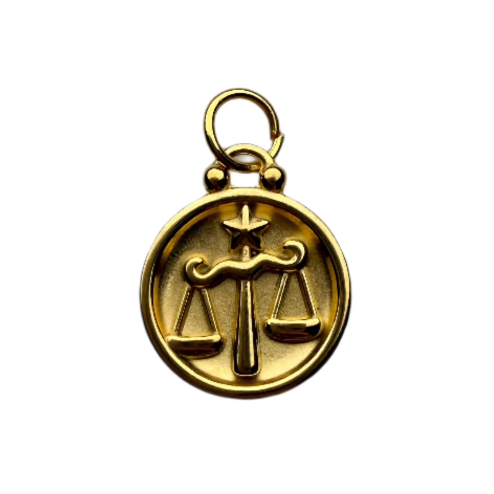 Zodiac Sign Charm