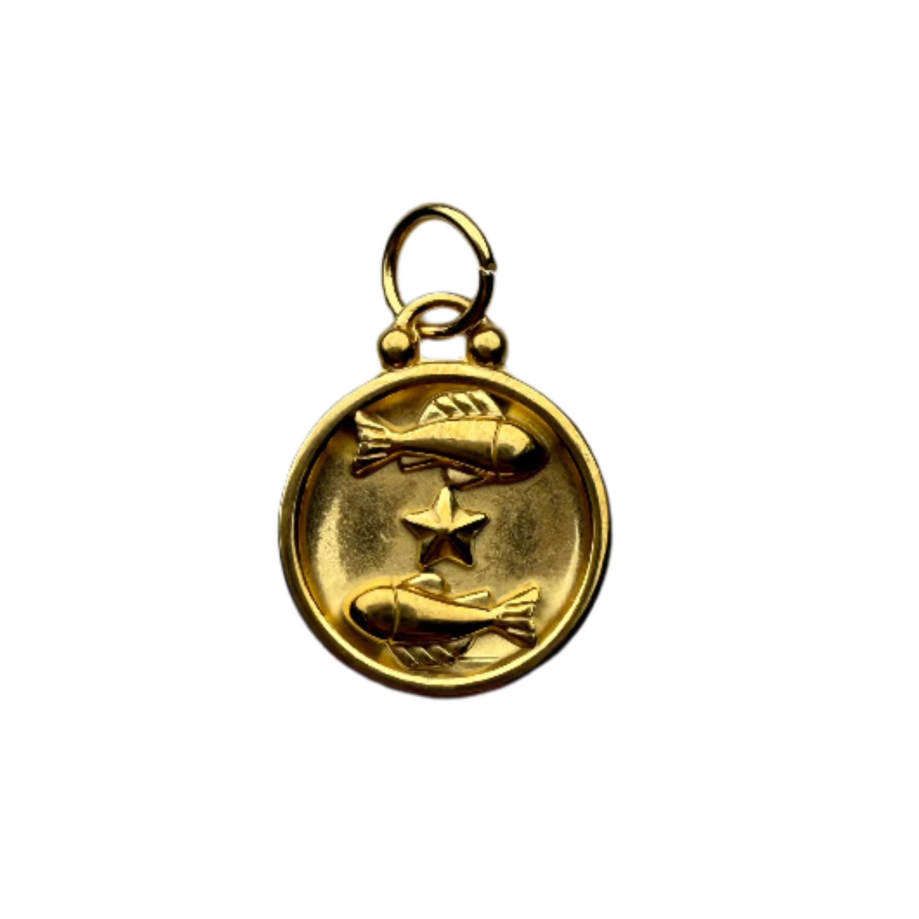 Zodiac Sign Charm