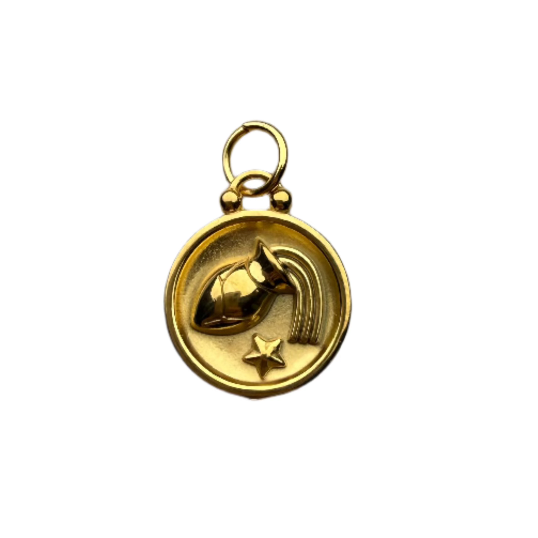 Zodiac Sign Charm
