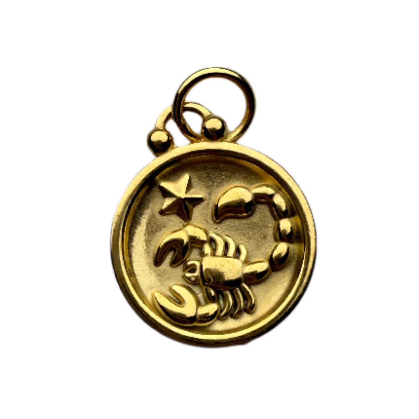 Zodiac Sign Charm