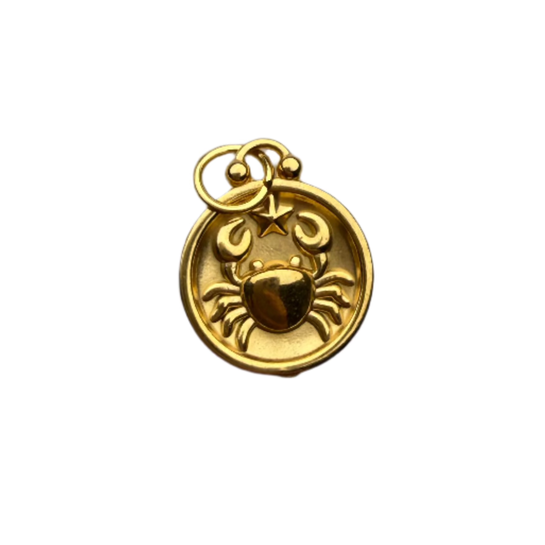 Zodiac Sign Charm