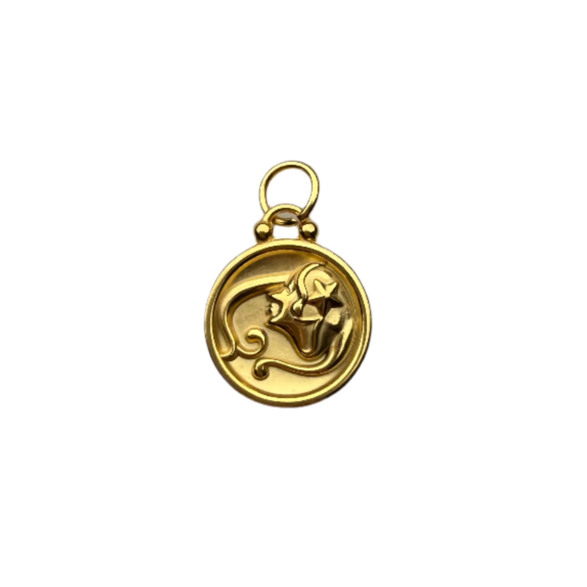 Zodiac Sign Charm
