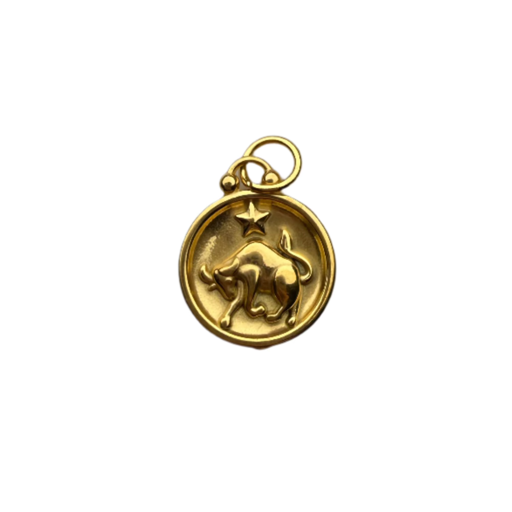 Zodiac Sign Charm
