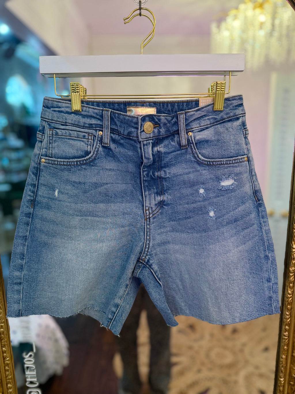 Hailey High Rise Short - Focus | PLUS SIZE AVAILABLE | Kut from the Kloth
