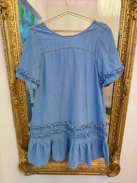 Paulie Ruffle Denim Dress