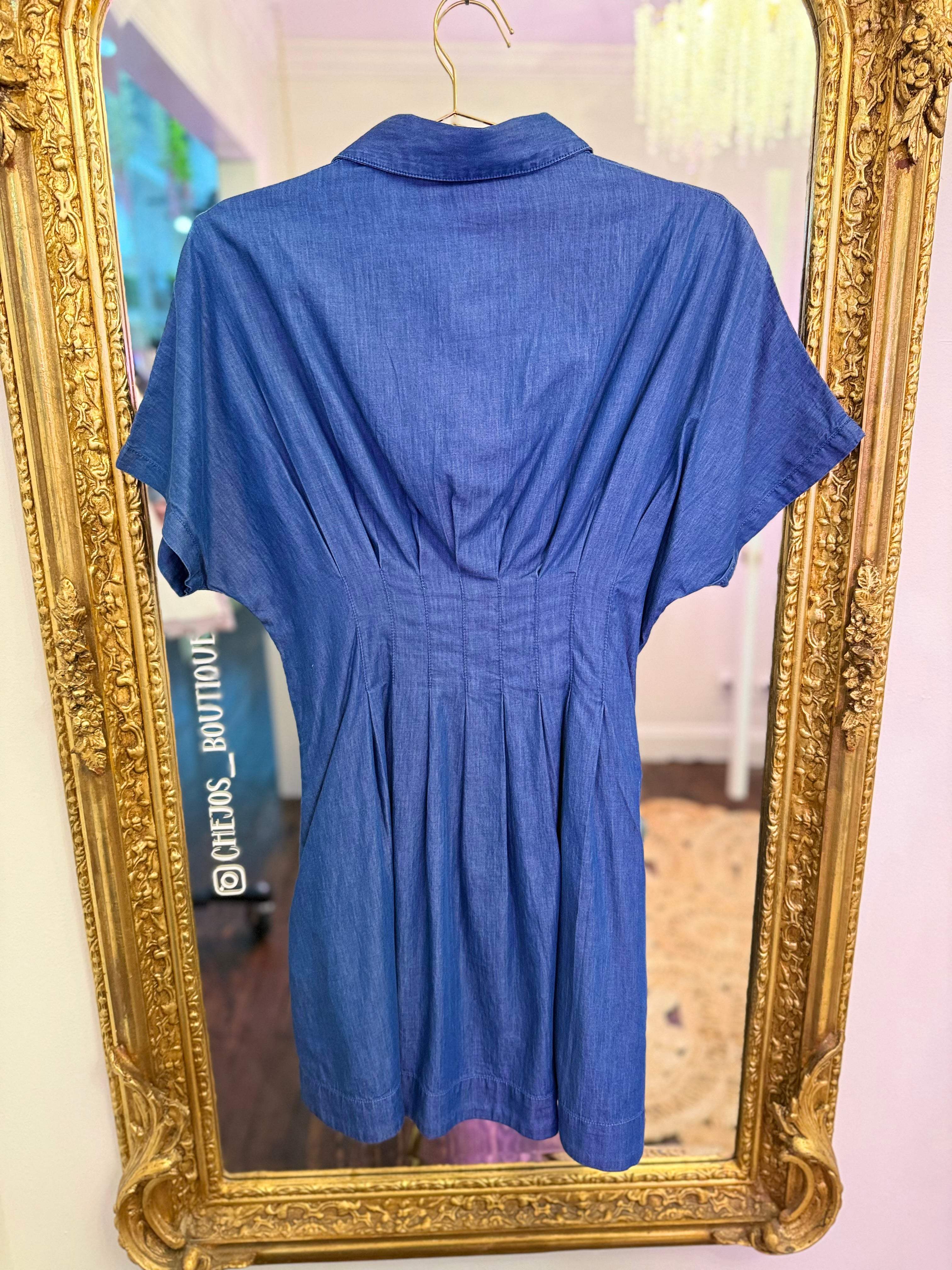 Francesca Dolman Pleated Dress - Secure Medium