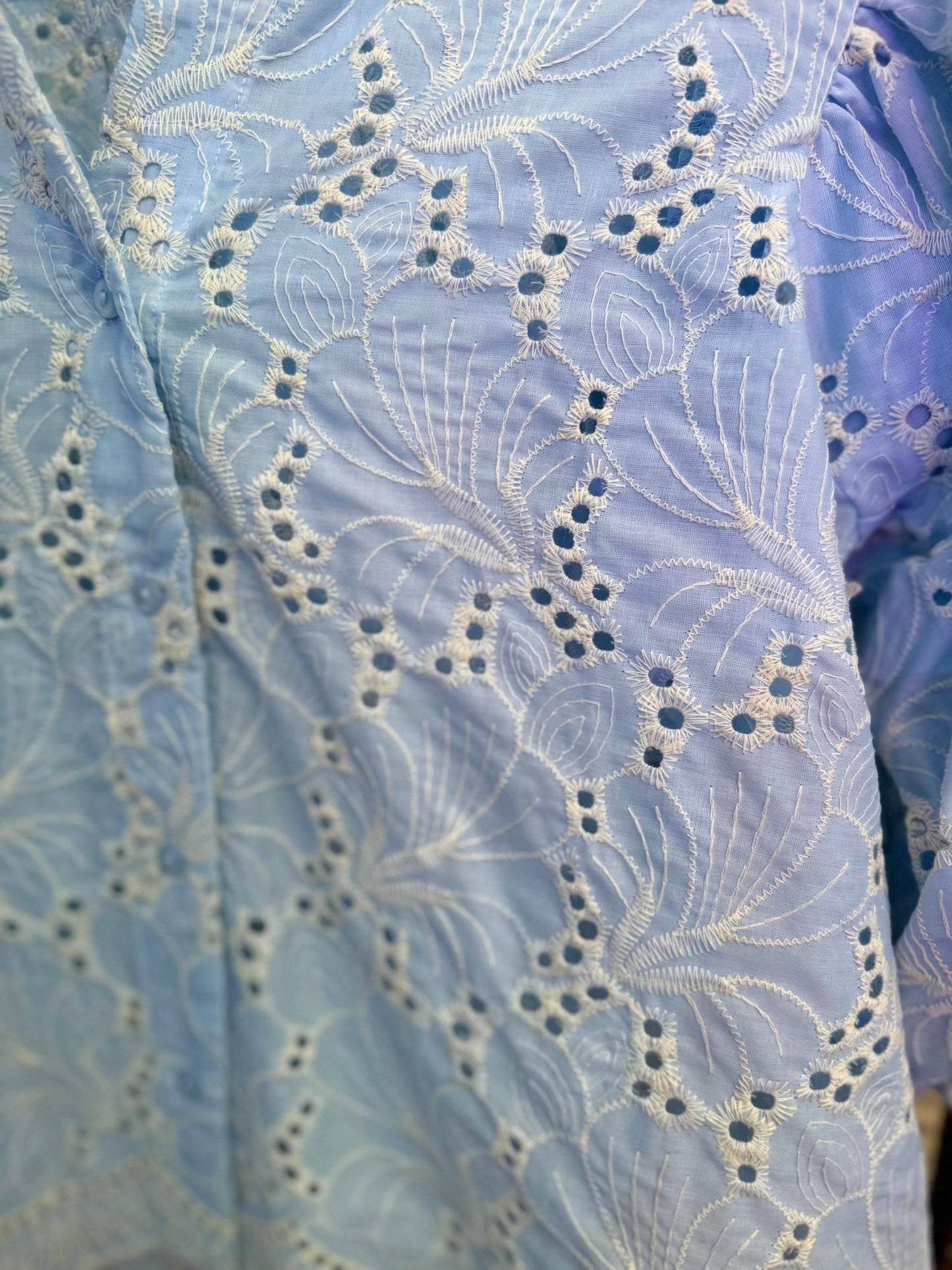 Eliana Embroidered Cotton Eyelet Blouse