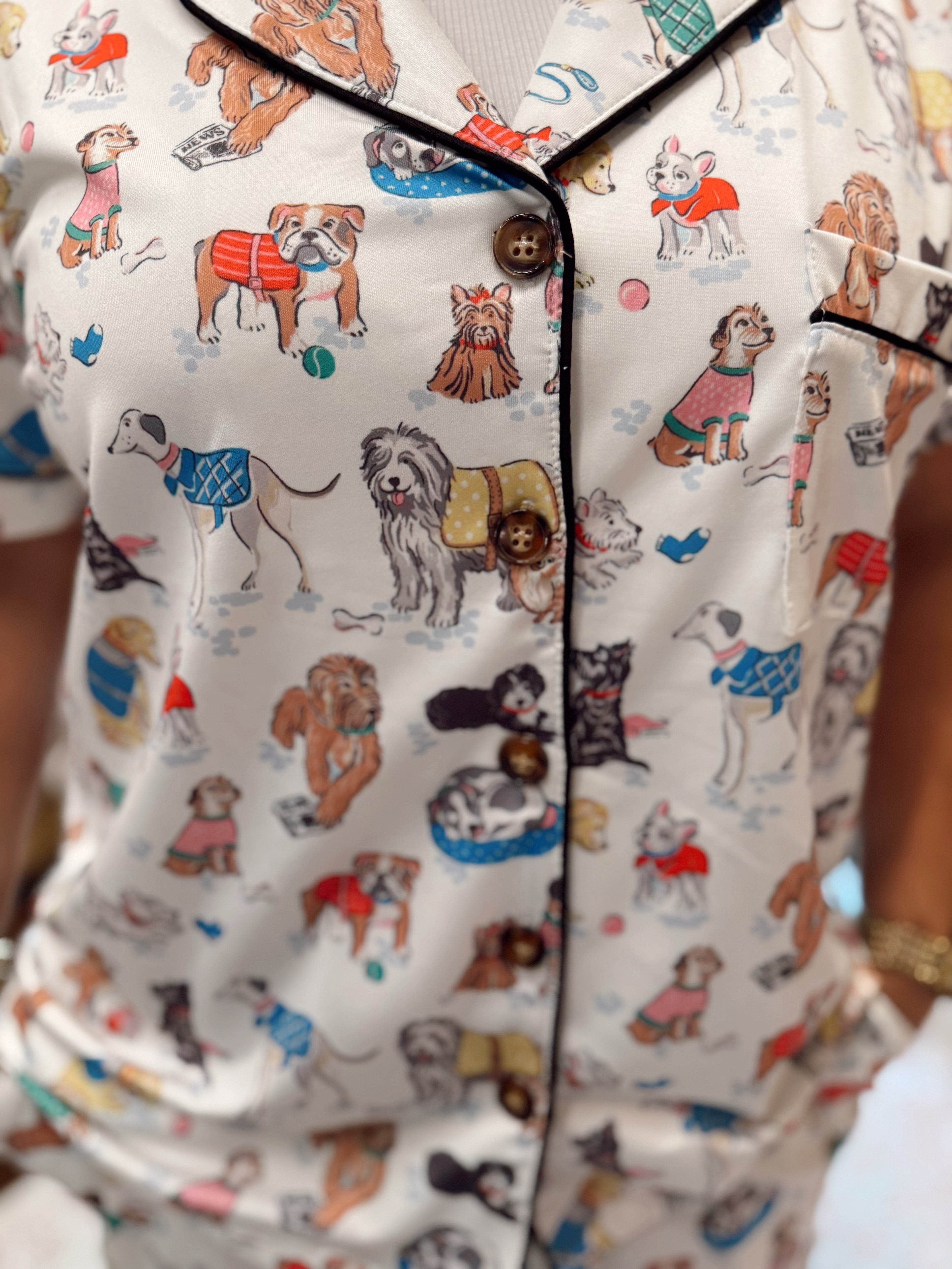 Dog Park Party Lounge Set