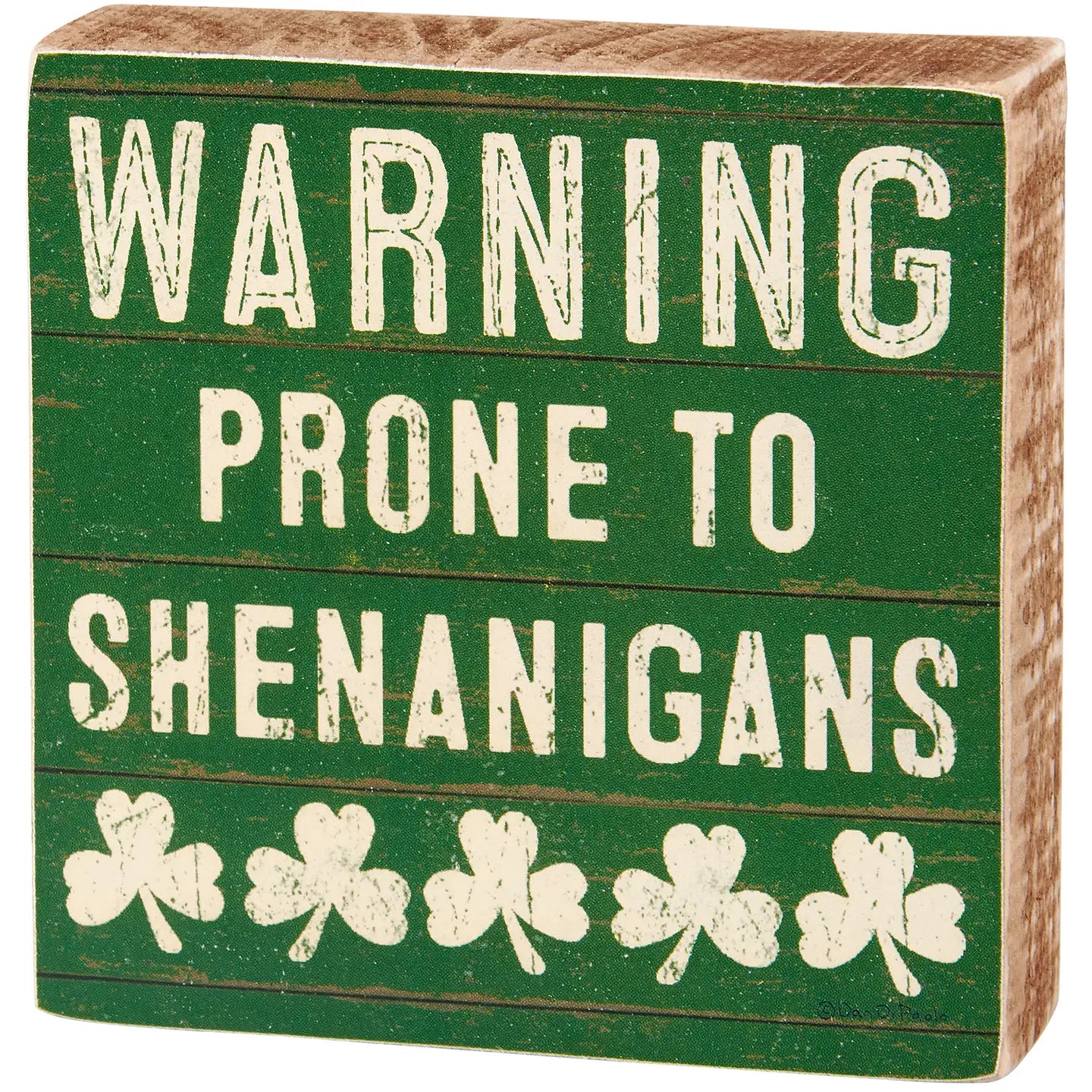 Warning Shenanigans Wood Block Sign