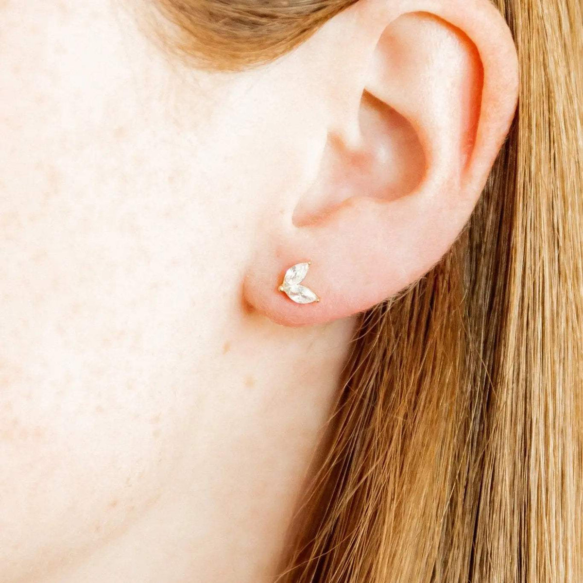 Nova Gold Screwback Stud Earrings