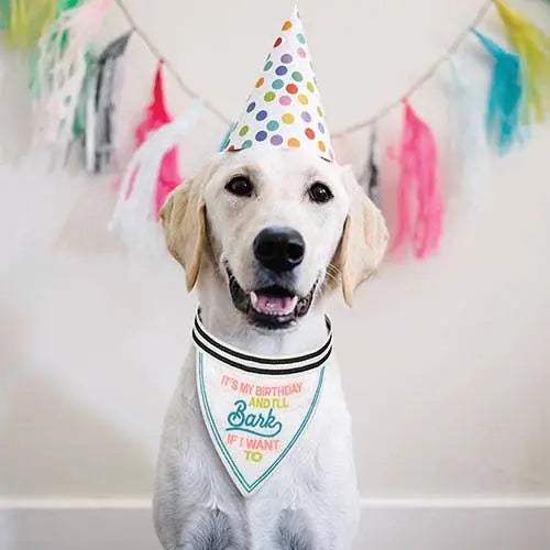 Pet Bandana