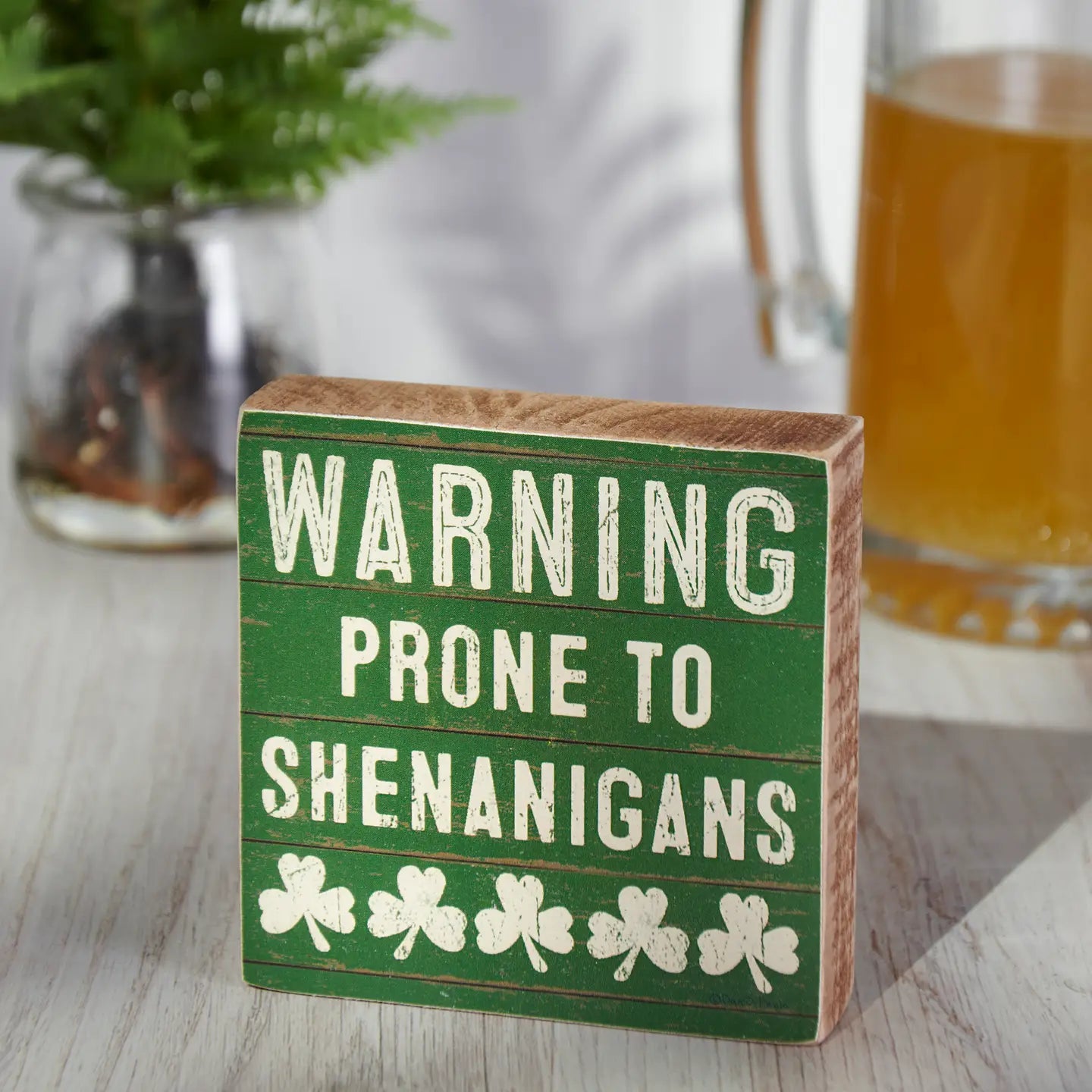 Warning Shenanigans Wood Block Sign