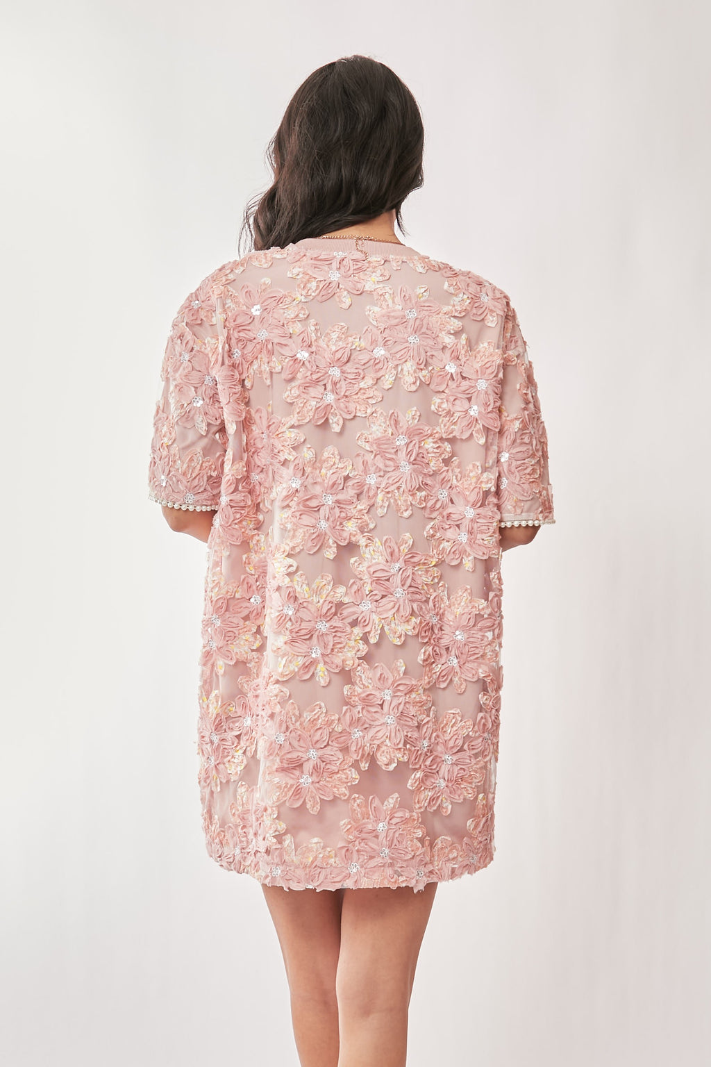PLUS SIZE | Embroidered Sequin Mesh Mini Dress