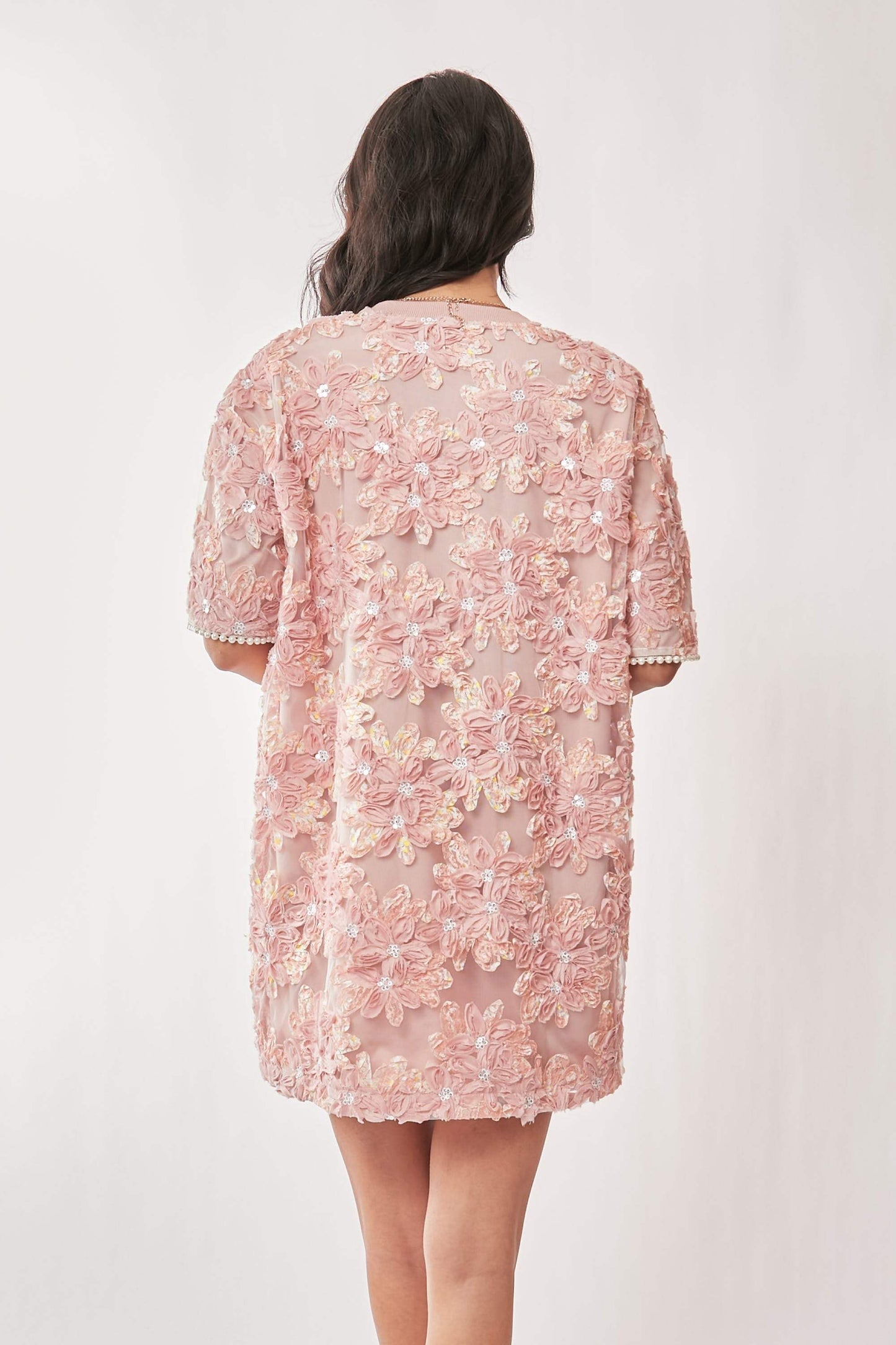 PLUS SIZE | Embroidered Sequin Mesh Mini Dress